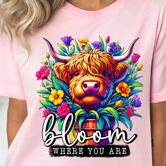 Bloom Where You Are Gildan Softstyle® T-Shirt Light Pink