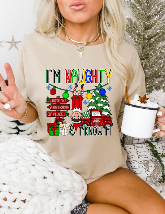 I'm Naughty & I Know It Comfort Colors Unisex Garment Dyed Heavyweight T-Shirt Khaki